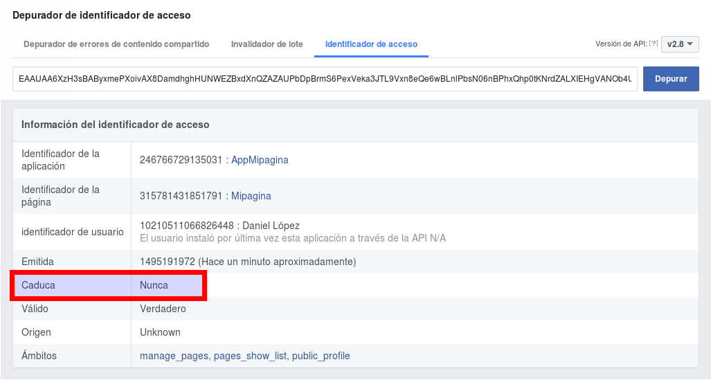Depurador access token permanente