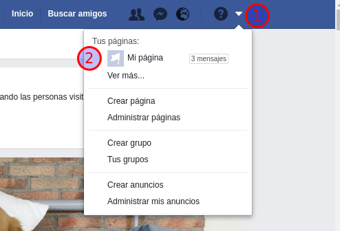 Método de obtención del identificador de una página de Facebook - Paso 1