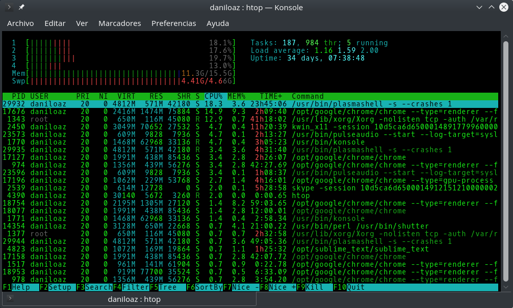 htop command output