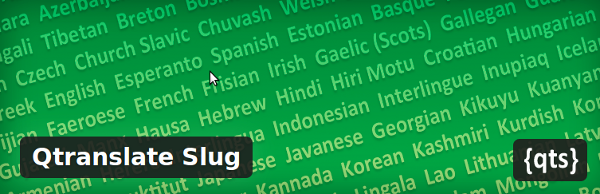 Qtranslate Slug