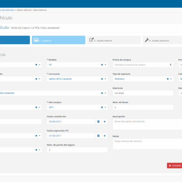Formulario detallado de edición de información del vehículo
