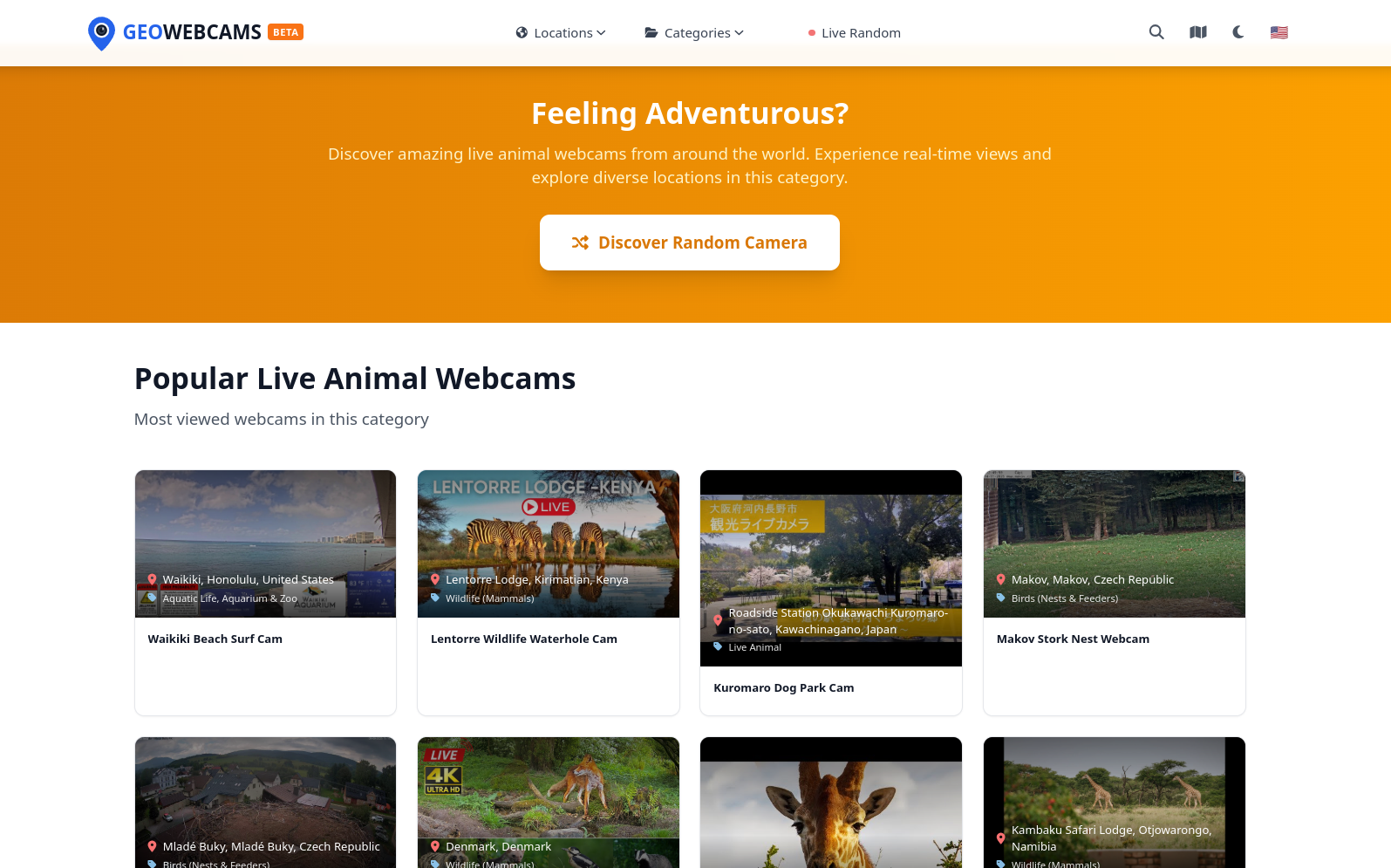 Feeling Adventurous section with random camera discovery