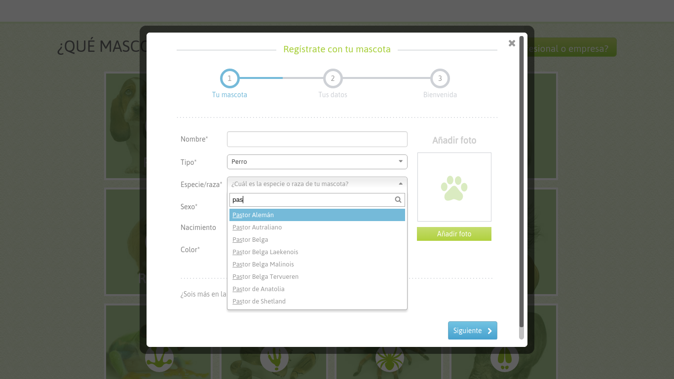 Registro de mascota